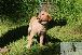 Welpen  24.05.2025 36